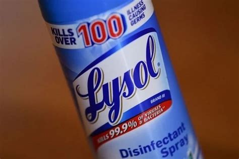 Does Lysol Kill Fruit Flies and Why Do They Love My Banana Bread?