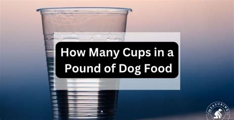 How Many Cups in a Pound of Dry Dog Food: A Journey Through Measurement, Nutrition, and Canine Curiosity