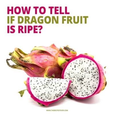 How to Tell if a Dragon Fruit is Ripe and Why It Might Be Hiding in Your Dreams