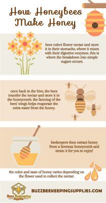 What Can I Substitute Honey With? Exploring the Sweet Alternatives and Their Culinary Quirks