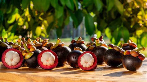 Where to Buy Mangosteen Fruit: Exploring the Mysteries of Tropical Delicacies