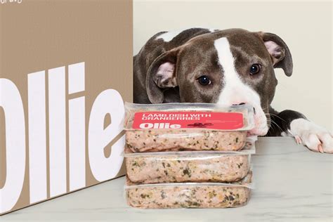 Who Owns Ollie Dog Food: A Dive into the World of Pet Nutrition and Ownership